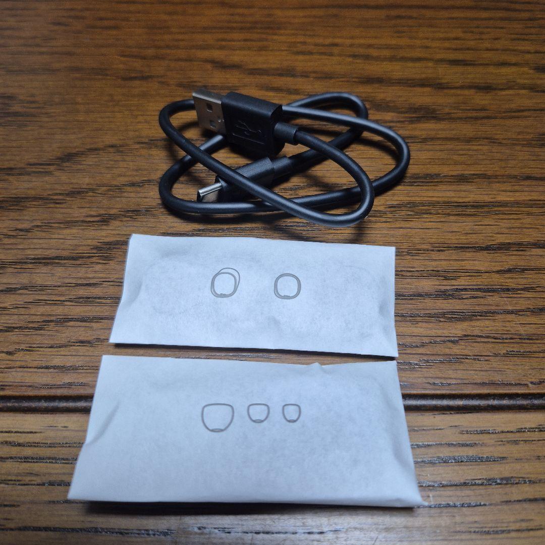 イヤホン Sennheiser Momentum True Wireless 4