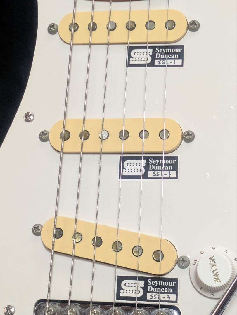 EDWARDS E-SE-93M/LT ダンカン　ラッカートップ　送料無料