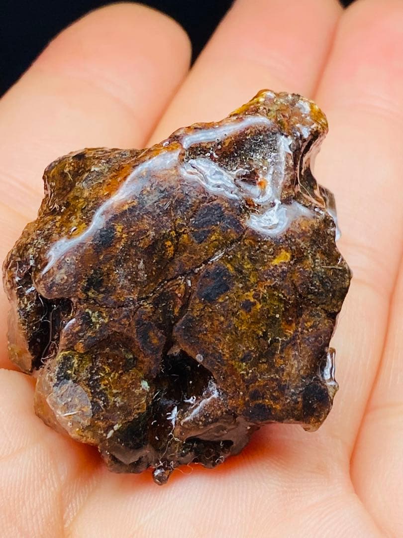 メル24344パラサイト隕石　石鉄隕石　セリコ隕石　原石　コーティング済み