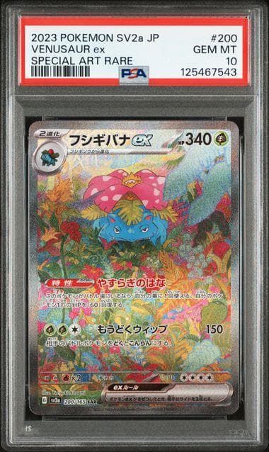 PSA10 フシギバナ リザードン カメックスex SAR 151 御三家
