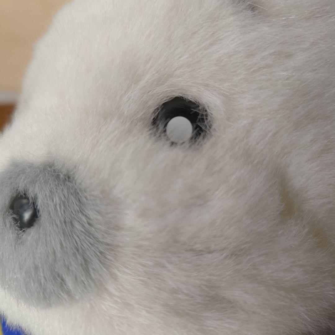 美品　おしゃれなゴマちゃん　タカラ　昭和レトロ　少年アシベ　ぬいぐるみ　レア