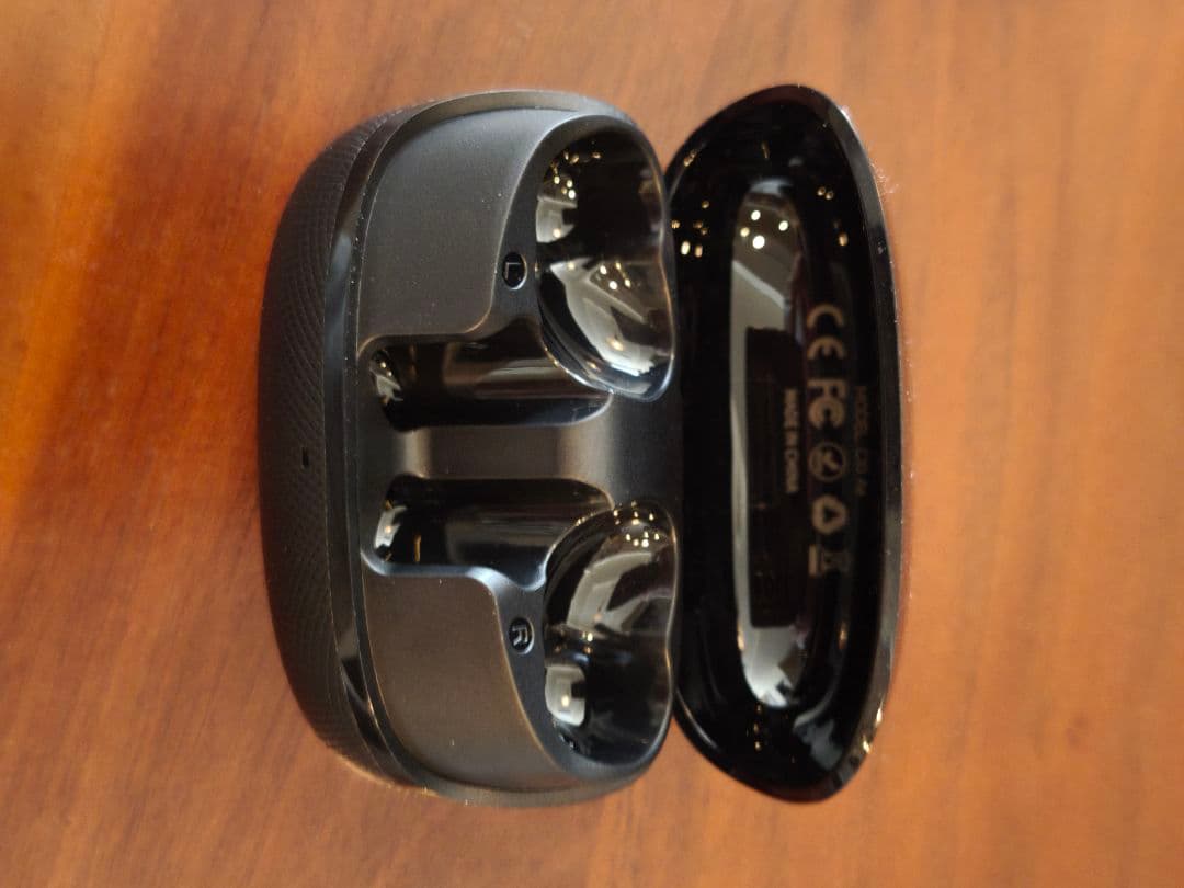 同時通訳ワイヤレスイヤホン　　　　Fineblue C10Ae　　ブラック