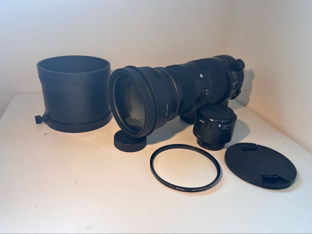 レンズ(ズーム) SIGMA 150-600sports Nikon SIGMA TC-2001