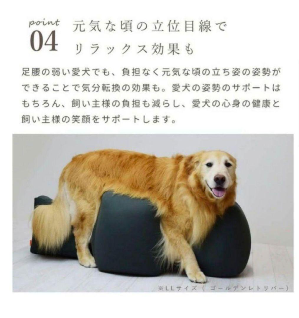 【新品未使用】OneAid リラクッション Lサイズ ブラウン (カバーなし)