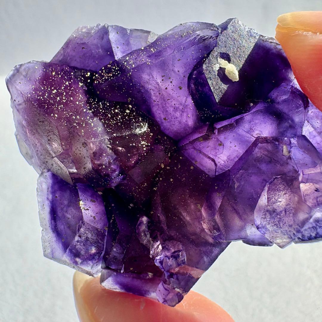 549 中国 内モンゴル産 フローライト&パイライト