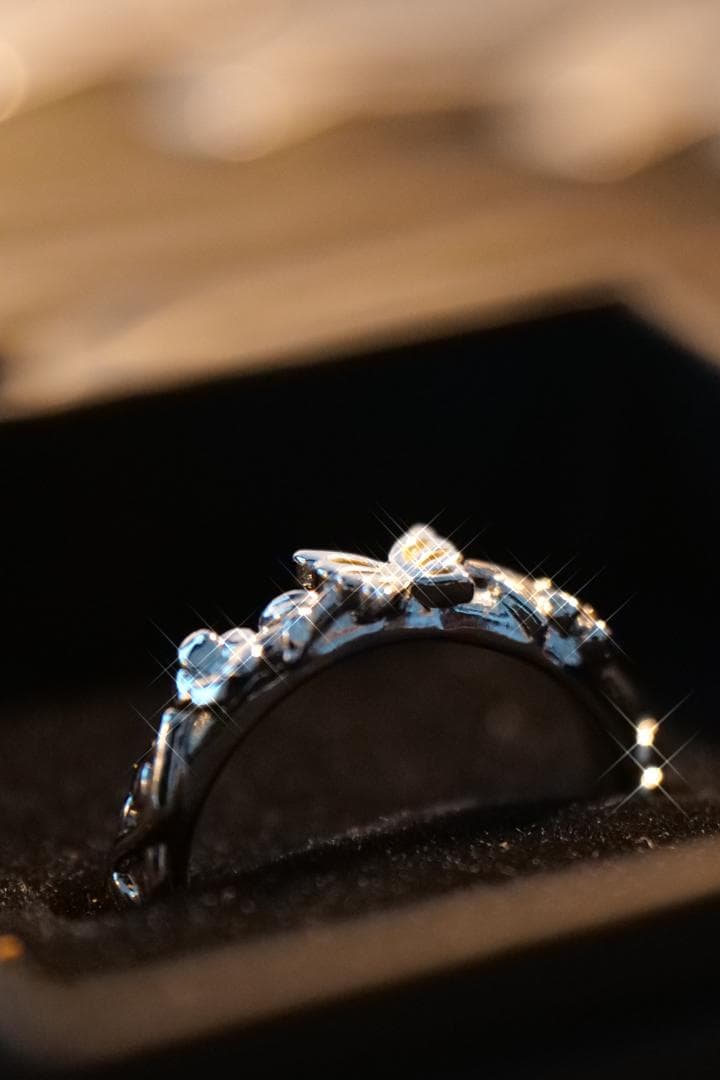 中古レンズLUMIX S 24-105 F4　Lマウント