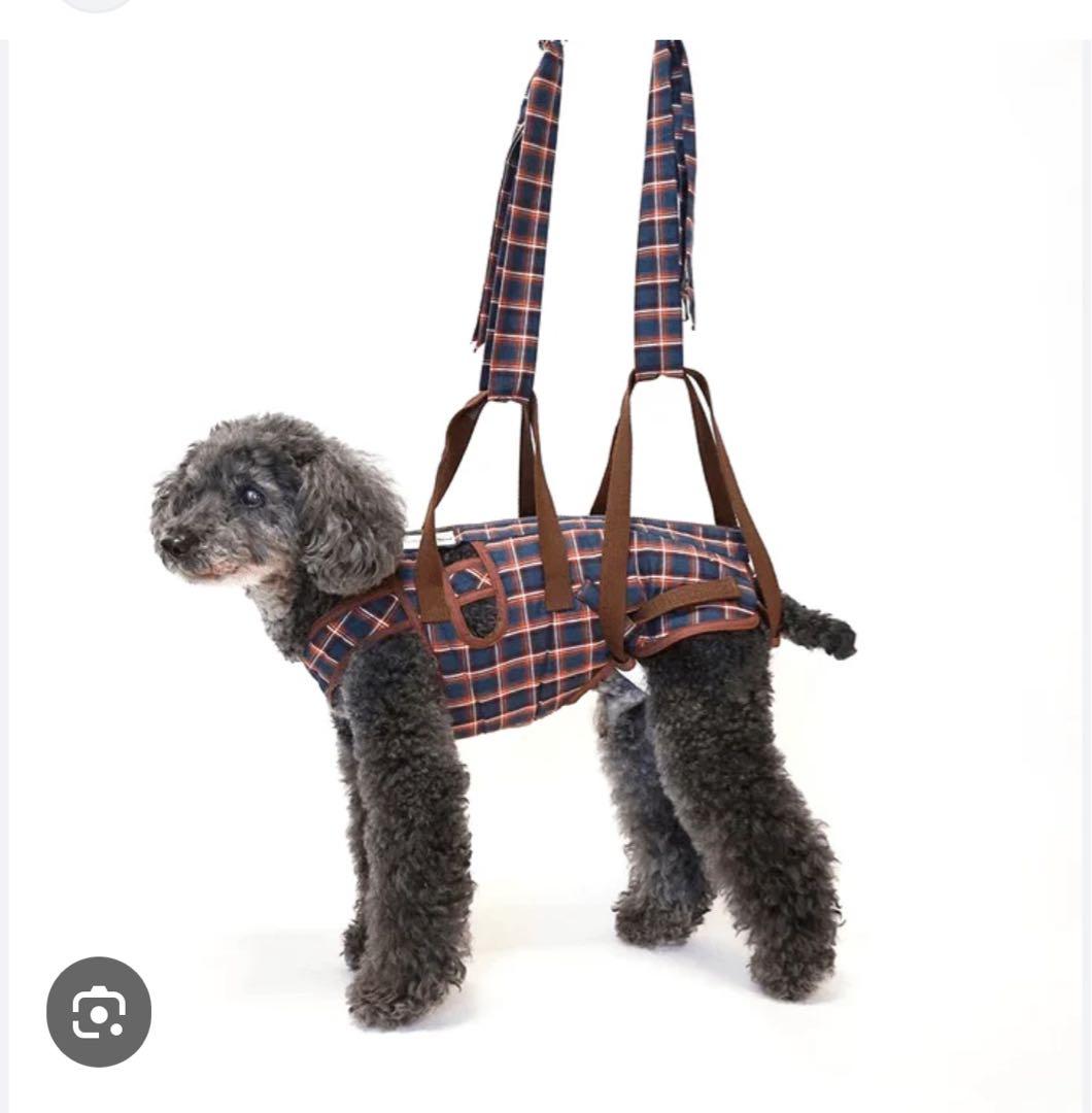 【新品　未使用】アシスタントバンド バーガンディ チェック柄