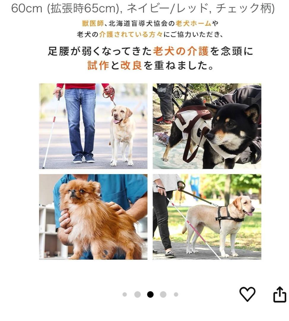 【新品　未使用】アシスタントバンド バーガンディ チェック柄