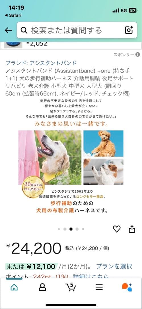 【新品　未使用】アシスタントバンド バーガンディ チェック柄