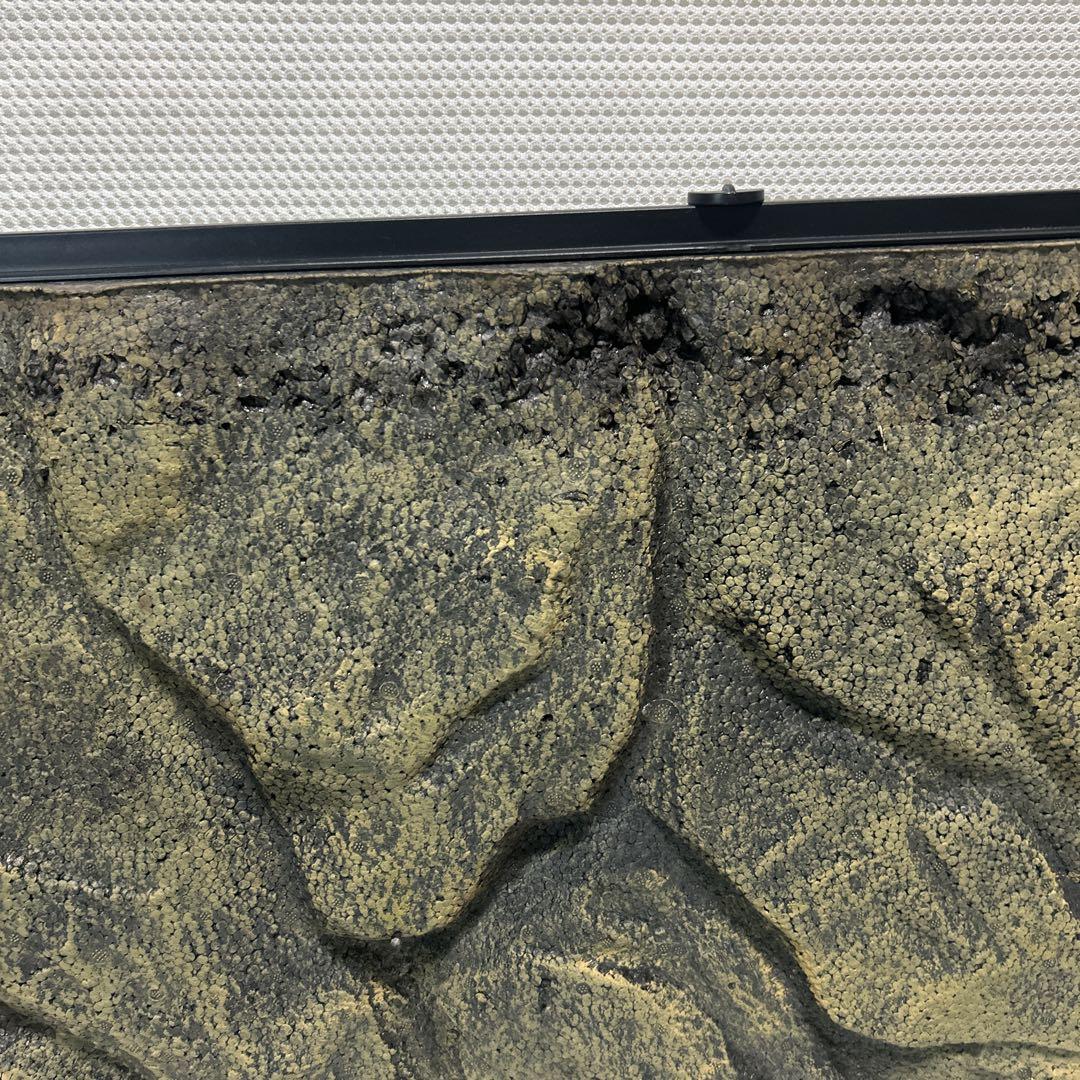 エキゾテラ　グラステラリウム9045