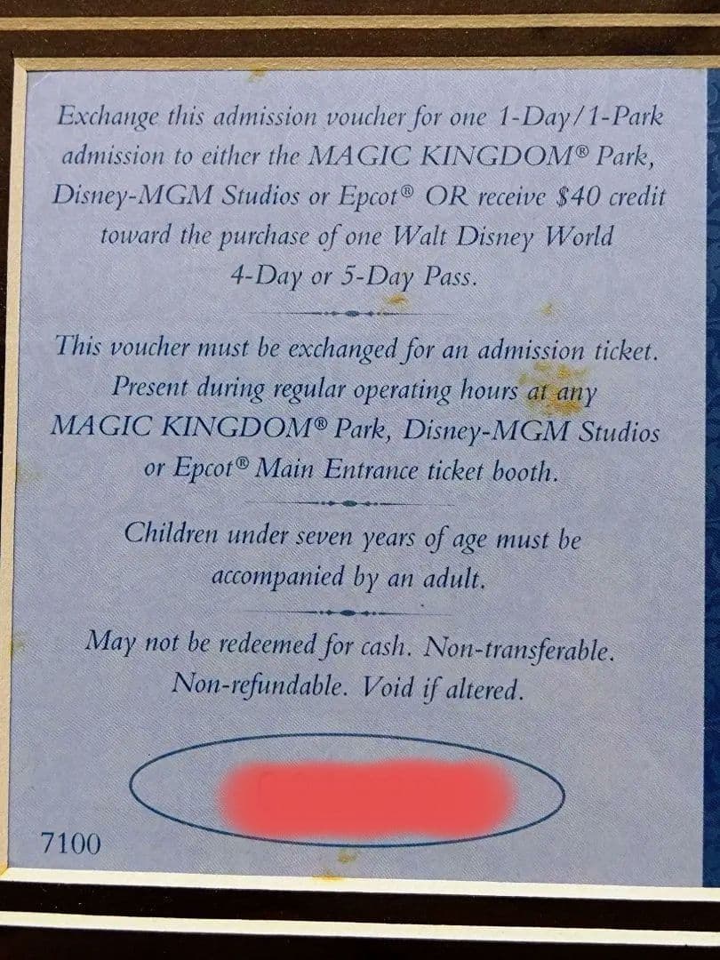 ★WDW★ウォルト・ディズニー・ワールド25周年★記念フレーム★