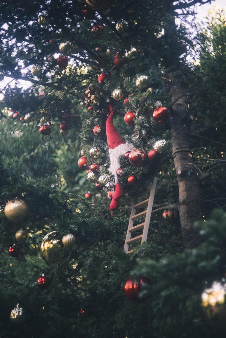 虹の出るライカの癖玉！Leica Summar 50mm F2 オールドレンズ