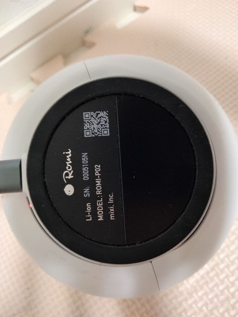 Romi【おしゃべりAIロボット】ロミィ