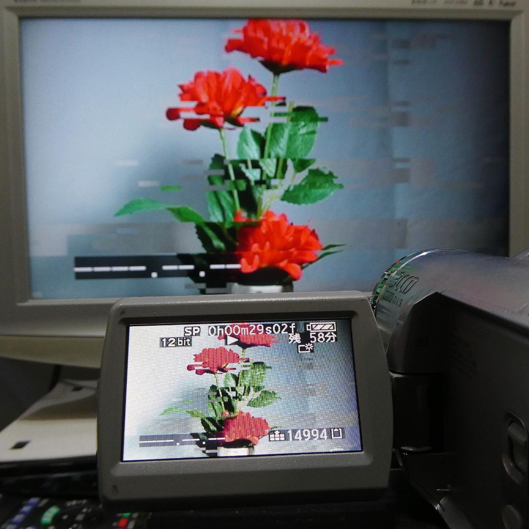 動作品 ソニーDCR-TRV50 MiniDV ビデオカメラ DVDダビングに