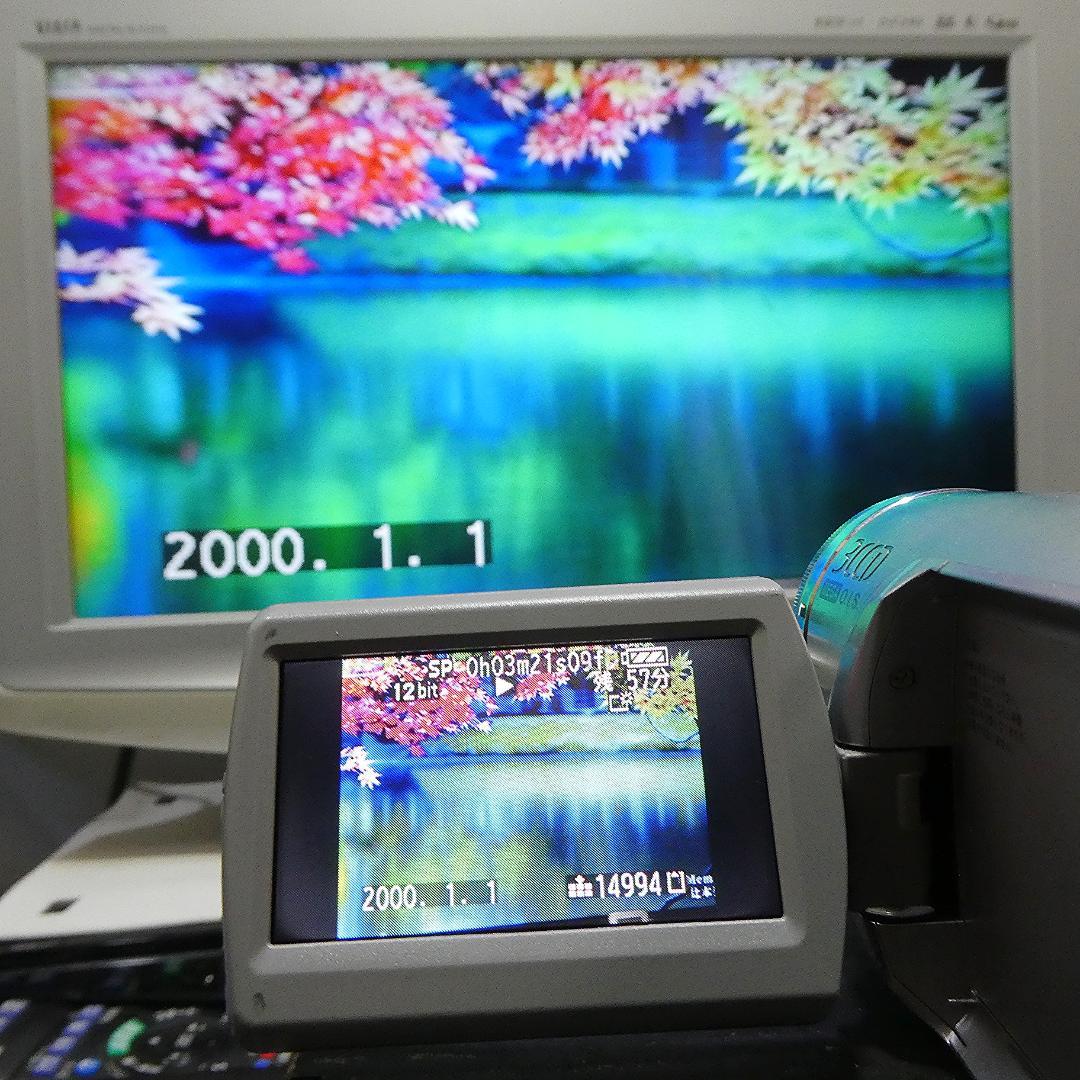 動作品 ソニーDCR-TRV50 MiniDV ビデオカメラ DVDダビングに