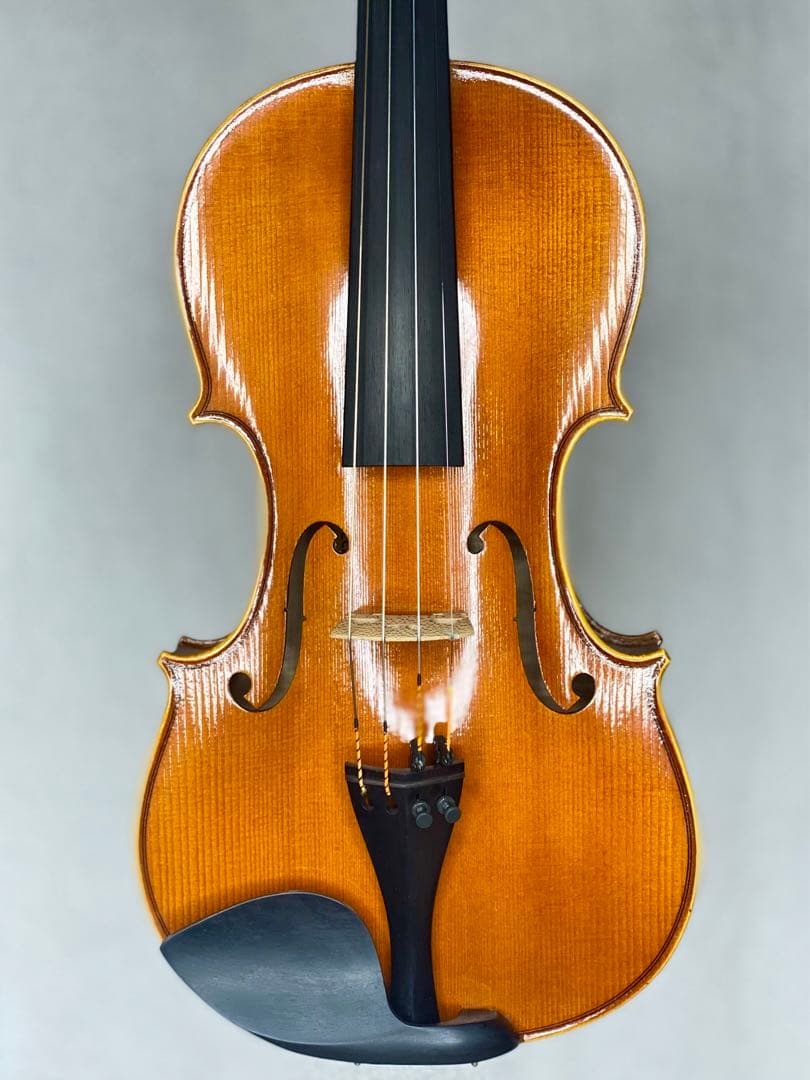 ヴァイオリン　バイオリン　4/4 美品　EVAHPIRAZZIGOLD プロ