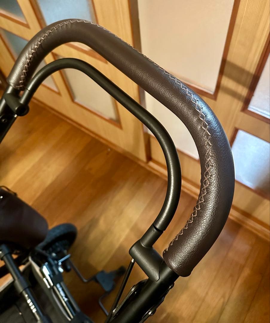 AIRBUGGY ペットカート ドーム3 レギュラー