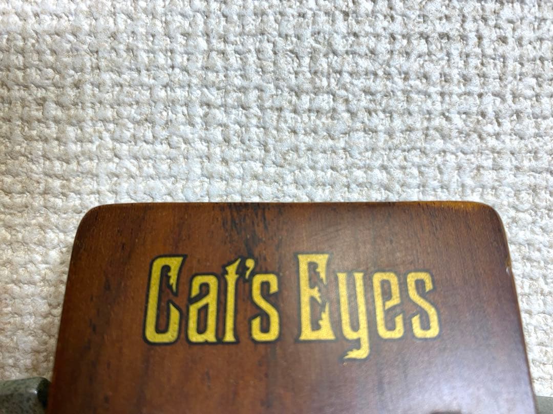 アコースティックギター CE-200