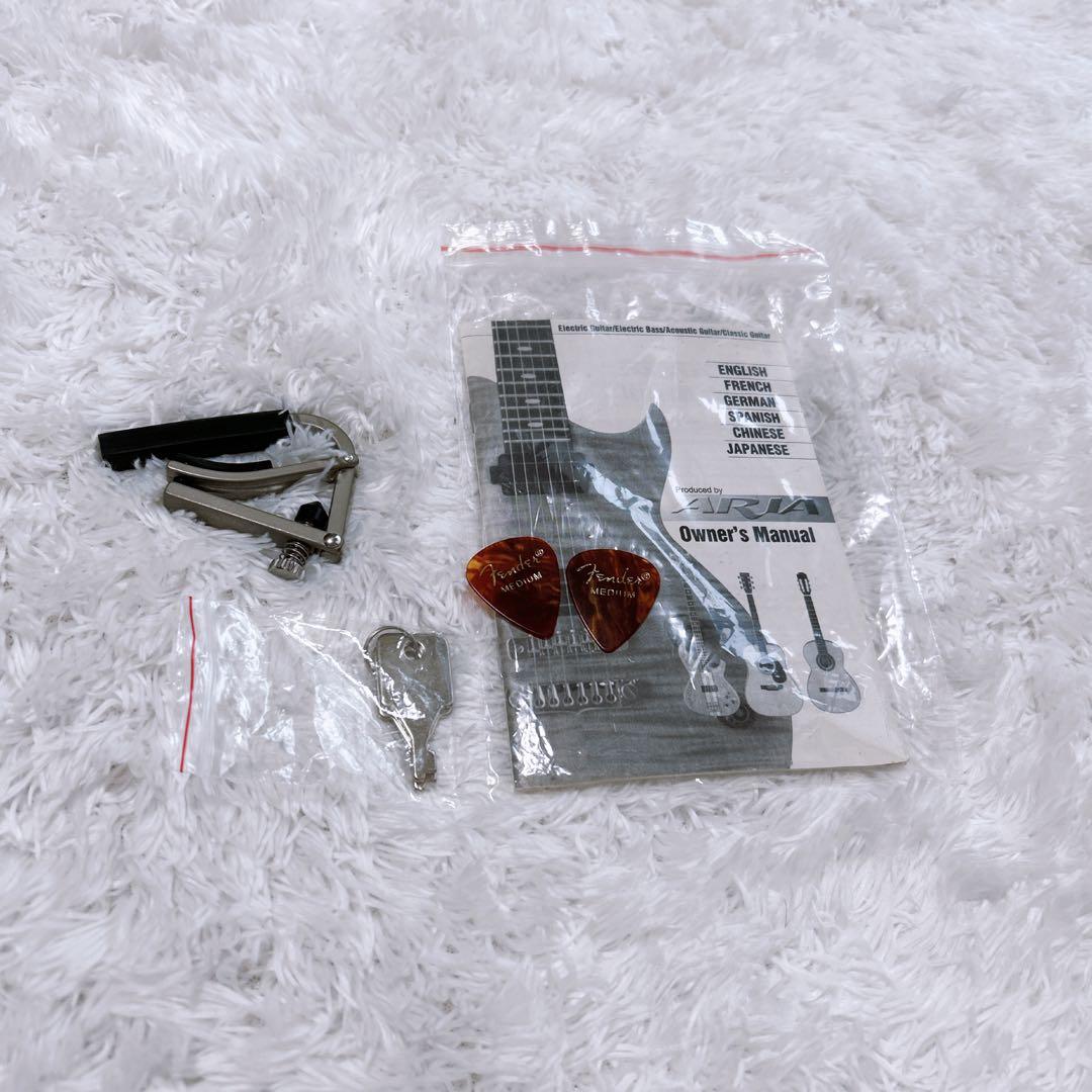 美品✨BLITZ by Aria ProⅡセミアコ ES-335タイプ