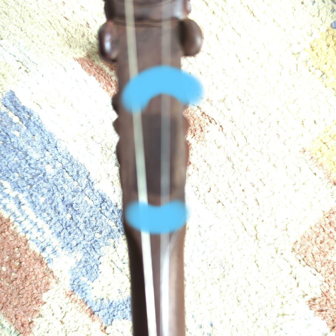 胡涵柔製作 10 未使用 最上級明清老紅木 龍彫刻二胡