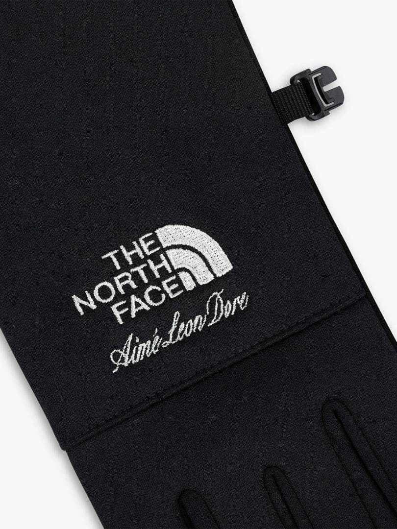 ★新品希少★ノースフェイス x エメレオンドレ グローブ 手袋 Lサイズ