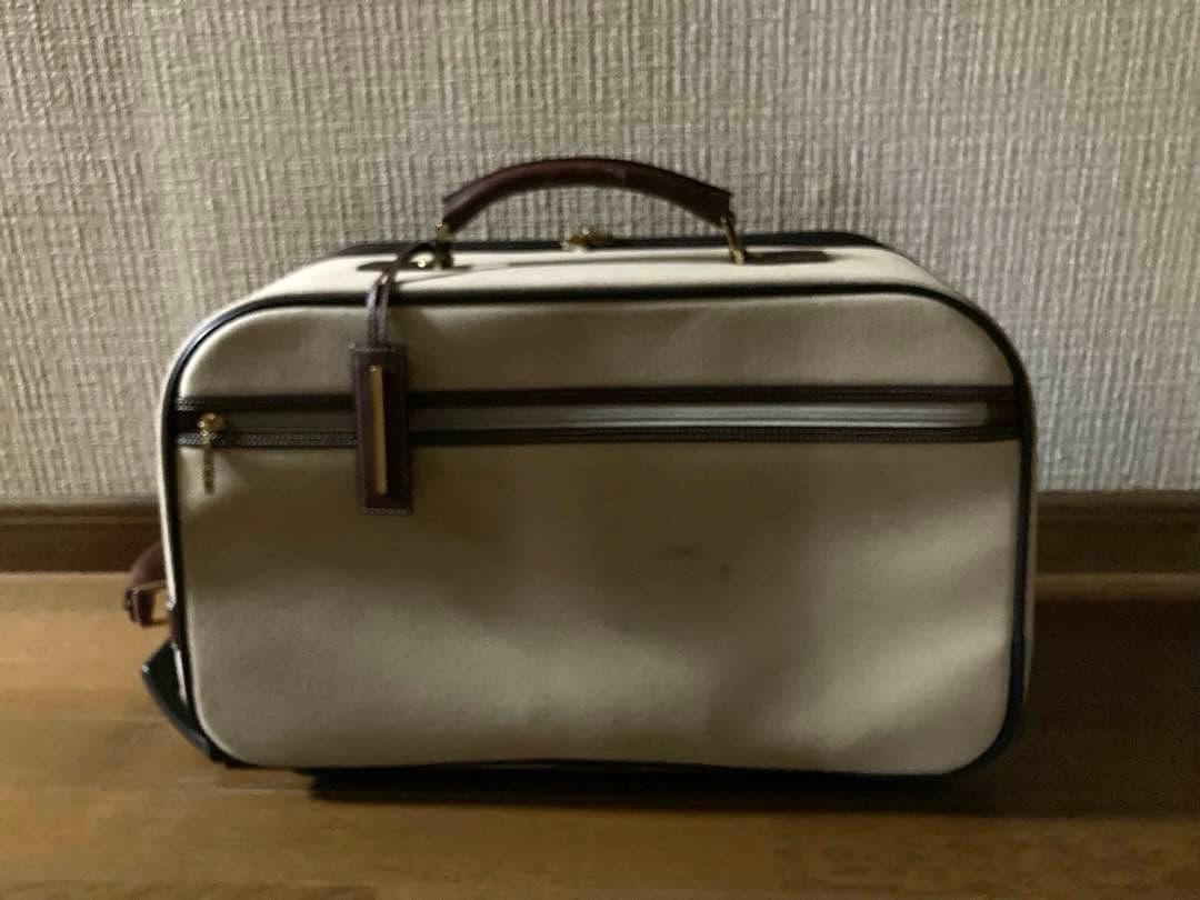 布製キャリーバッグ