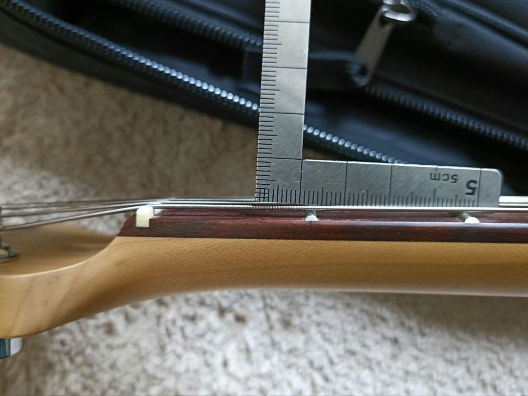 ギター FgN BCST10RBD BLK basic classic