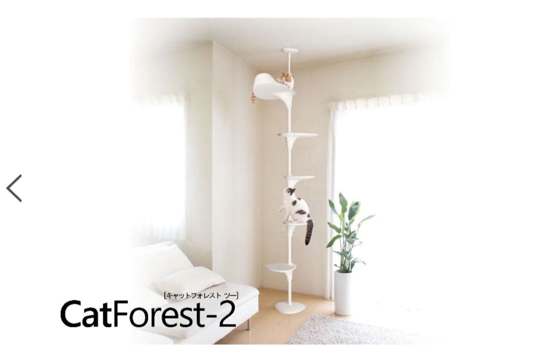 OPPO CatForest-2 キャットフォレスト2 ブラック