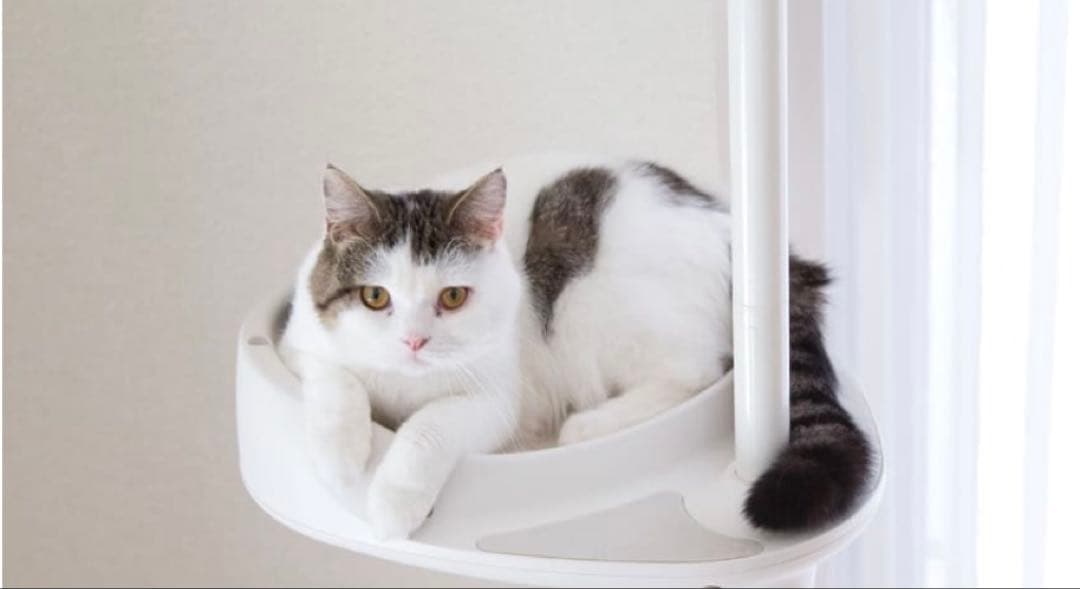 OPPO CatForest-2 キャットフォレスト2 ブラック