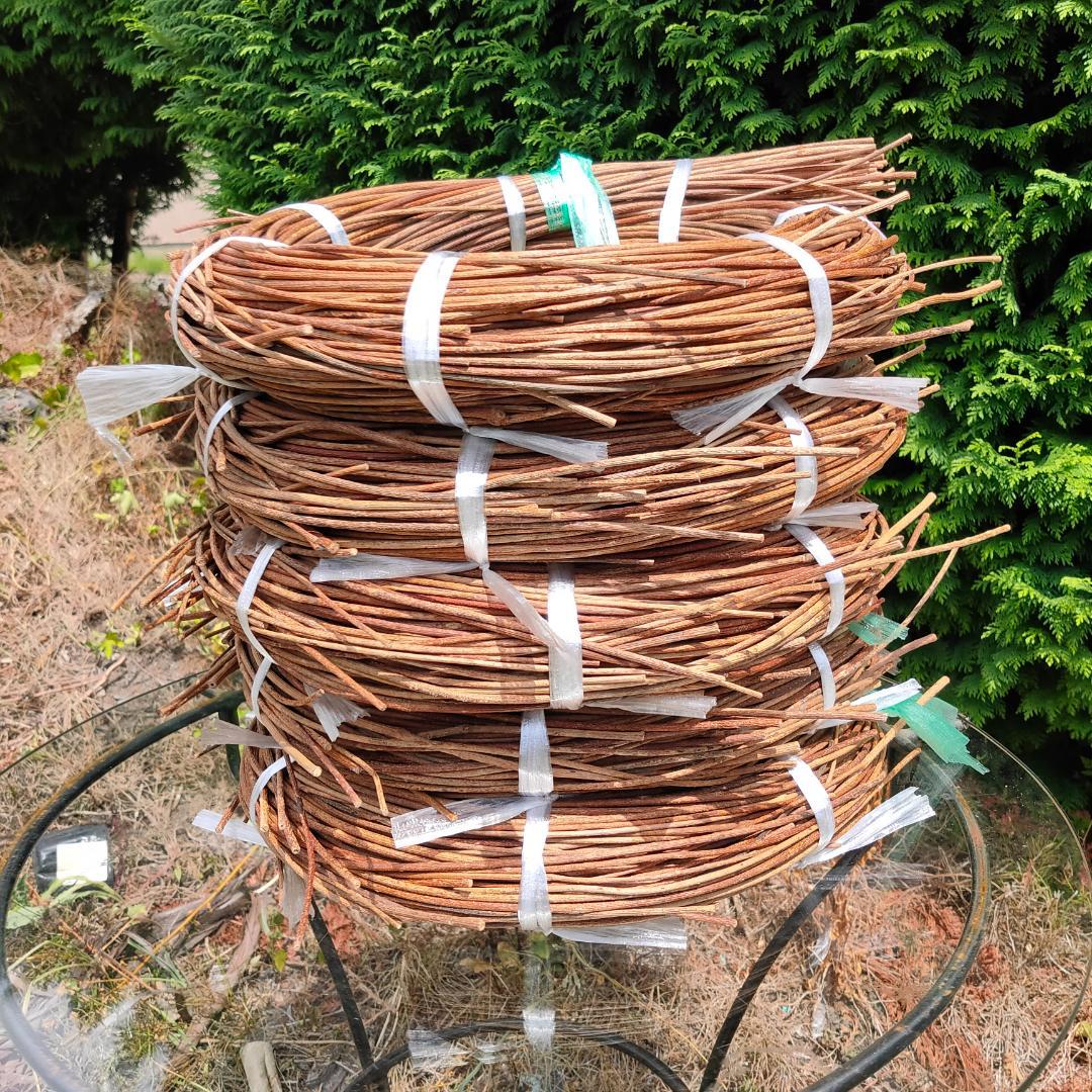 hkeplk　青森岩木山採取　あけび蔓　150cm～ 5kg