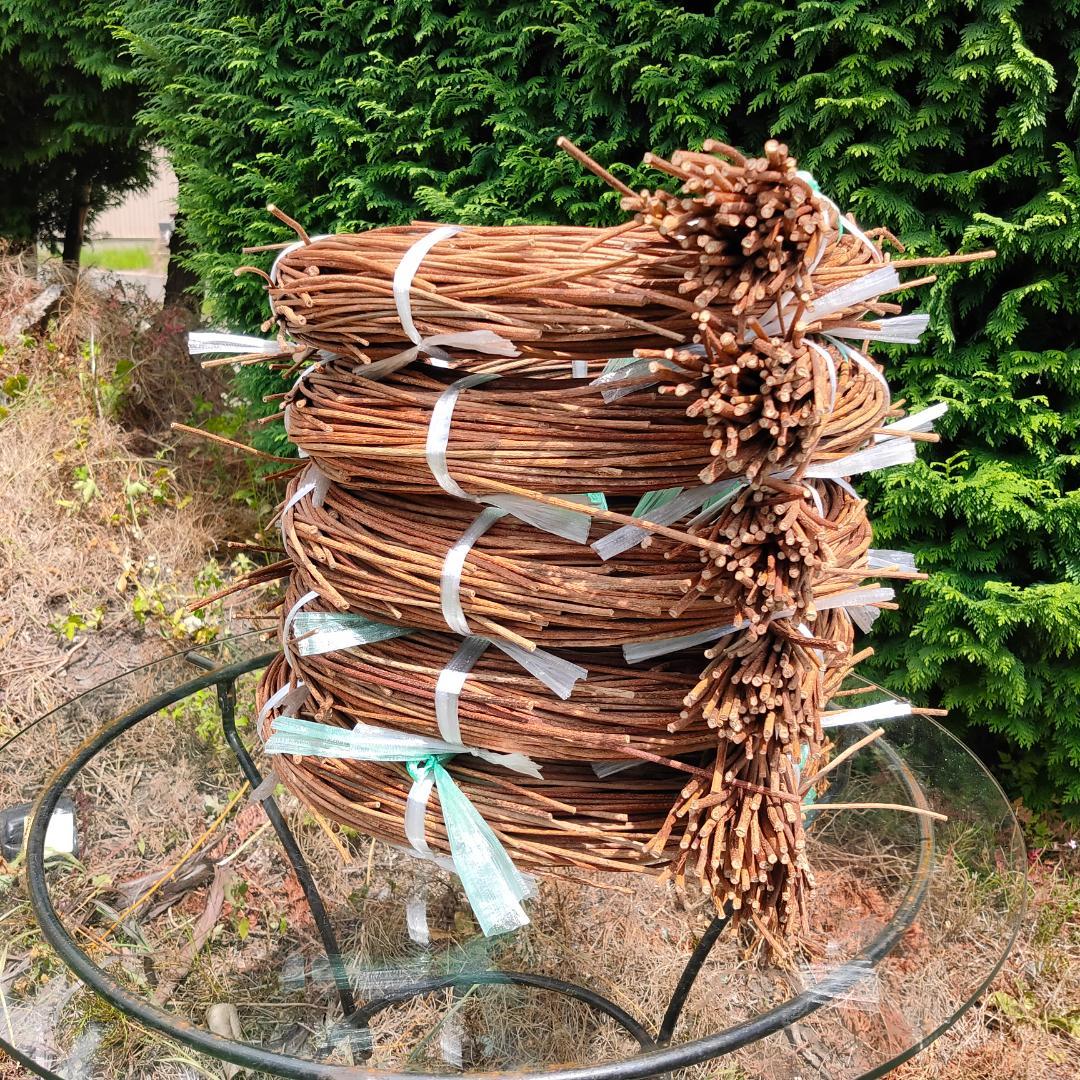 hkeplk　青森岩木山採取　あけび蔓　150cm～ 5kg