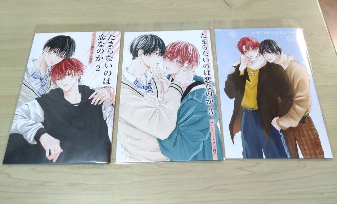 【たまらないのは恋なのか/空華みあ】 関連特典11点セット