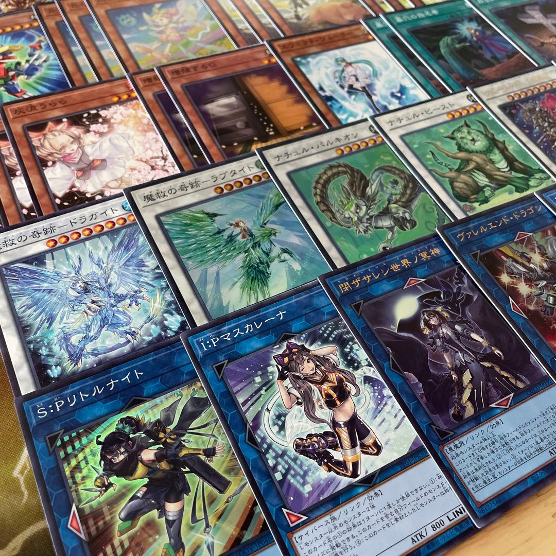 優勝構築 春化精アダマシアデッキ 魔救の捜索者 御影志士 丘と芽吹の春化精