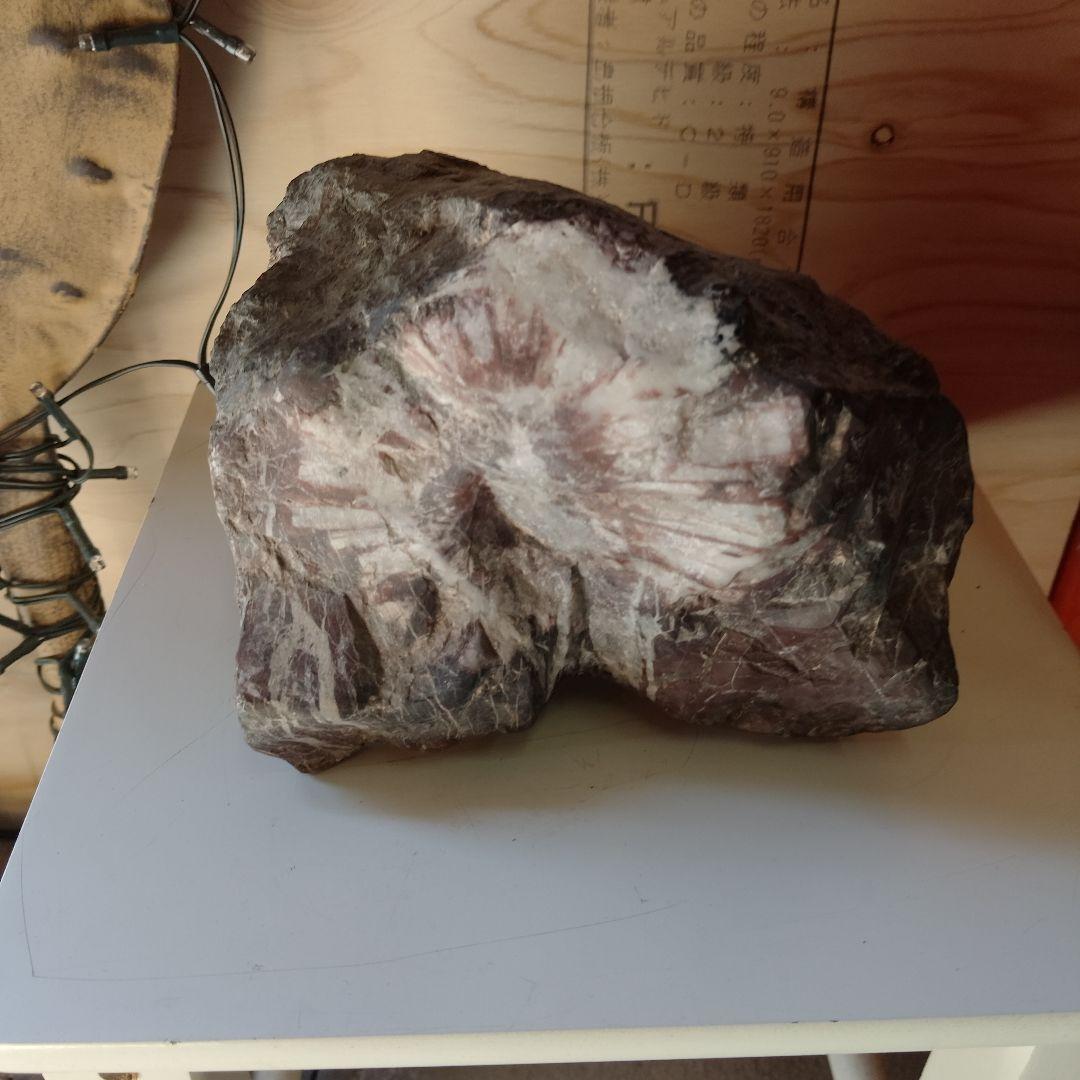 天然石 。根尾村菊花石