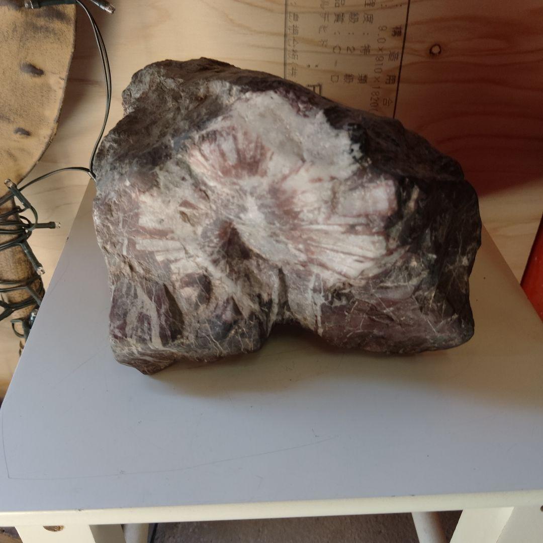 天然石 。根尾村菊花石