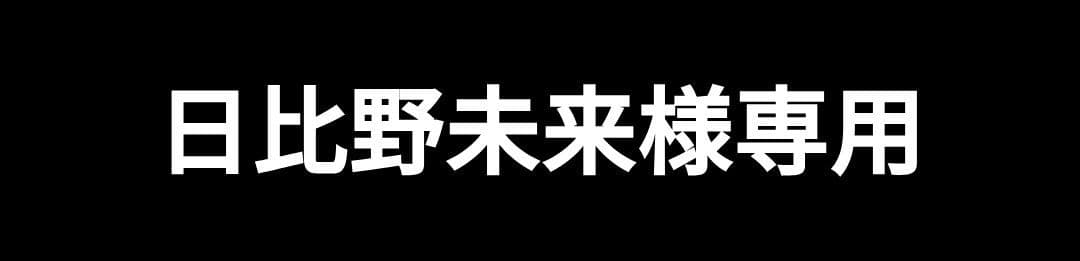 日比野未来