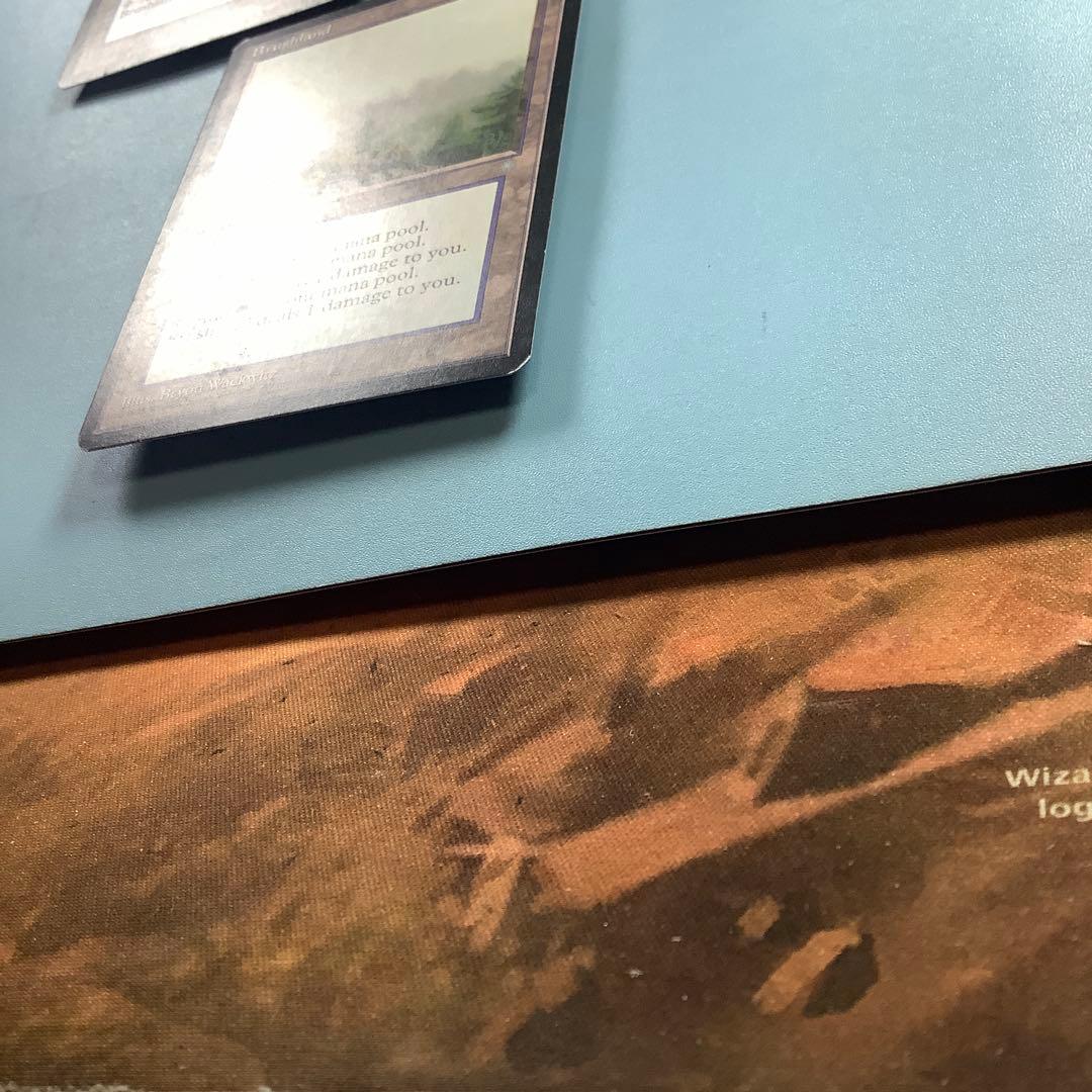 *バラ売り可* 低木林地/Brushland ICE英語3枚セット