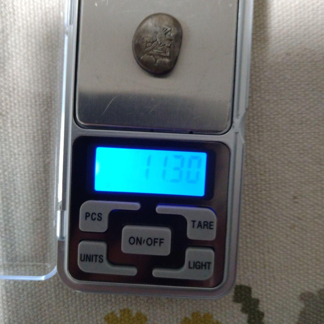 能登のイエローモンキー。享保豆板銀