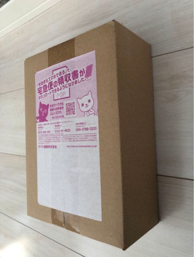 ポケモンワールドチャンピオンシップ2023 ピカチュウデッキ　横浜記念デッキ