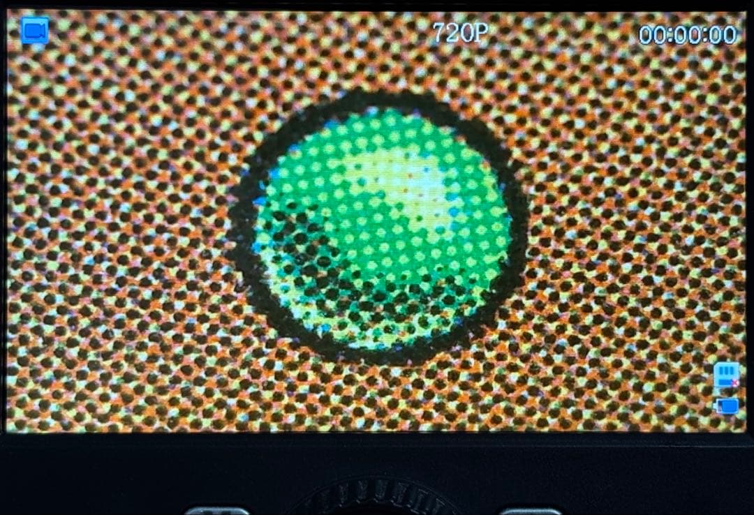 MTG 島  LEA NM- (A Purple)