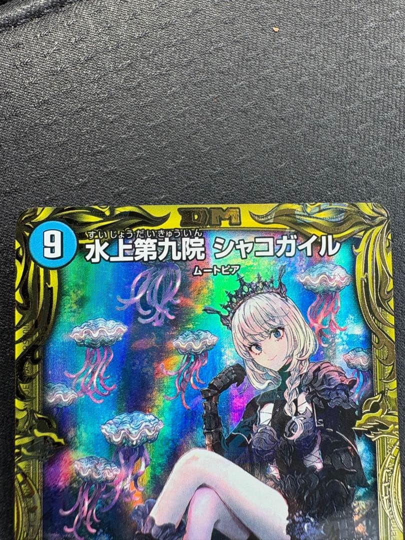 水上第九院シャコガイルb 美品