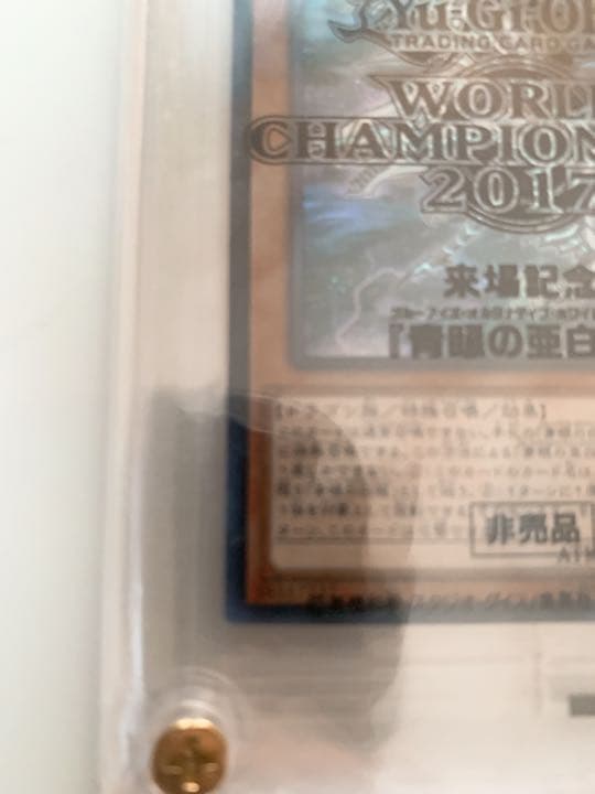 青眼の亜白龍　WCS2017