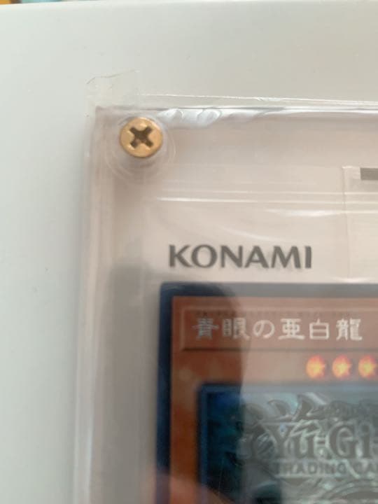 青眼の亜白龍　WCS2017