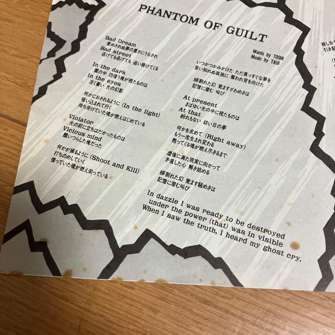 X Japan Vanishing Vision レコード