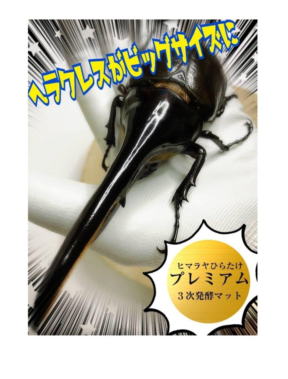 極上！プレミアム3次発酵ヘラクレスマット【50L】特殊アミノ酸強化配合！産卵にも