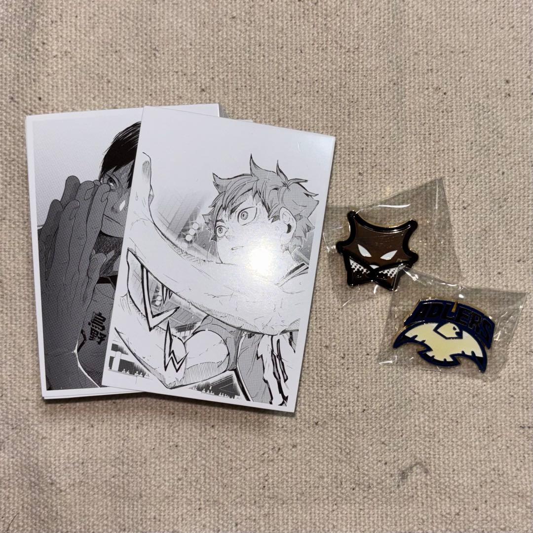 ハイキュー10thクロニクル フォトカード ピンズ