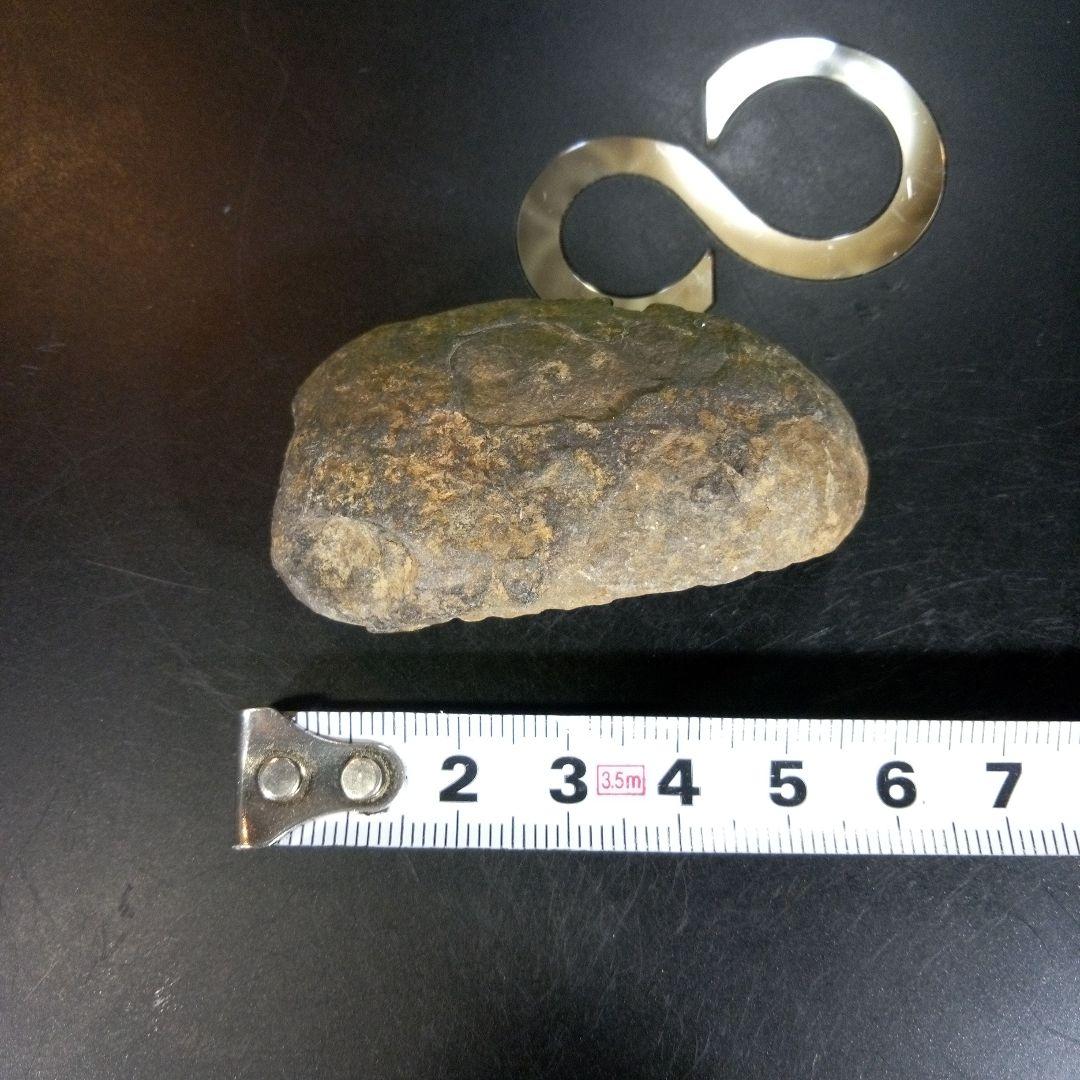 三葉虫　化石　fossil　ボリビア産　trilobite　ノジュール判別⑤