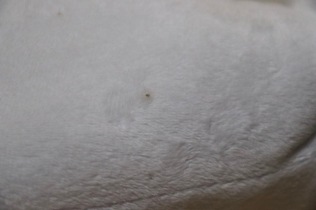 XL脱グルーミー　パンダトーンブラック　アルビノ　セット