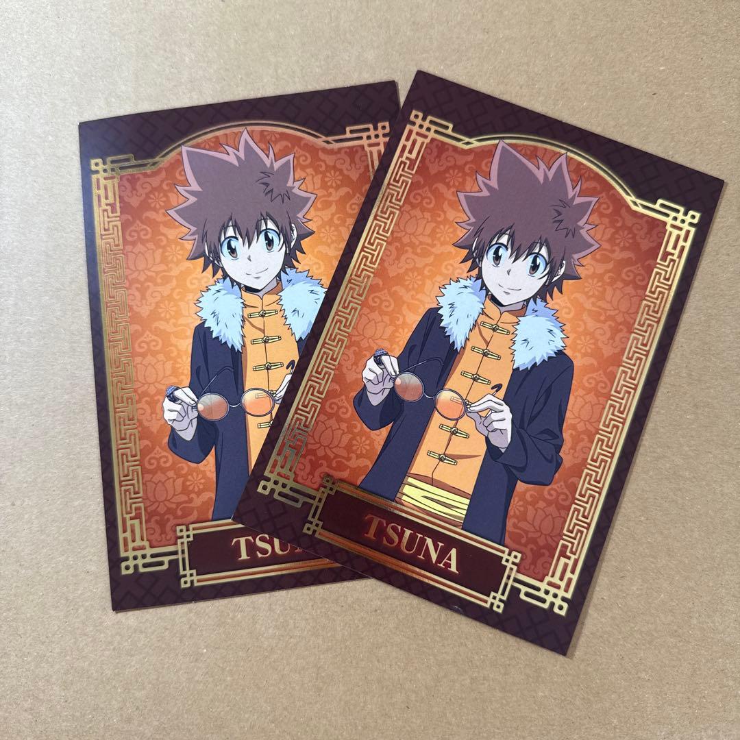 家庭教師ヒットマンREBORN まとめ売り 沢田綱吉