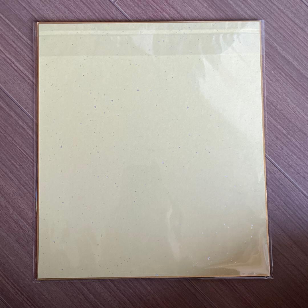 【超希少】青山剛昌 直筆色紙 コナン